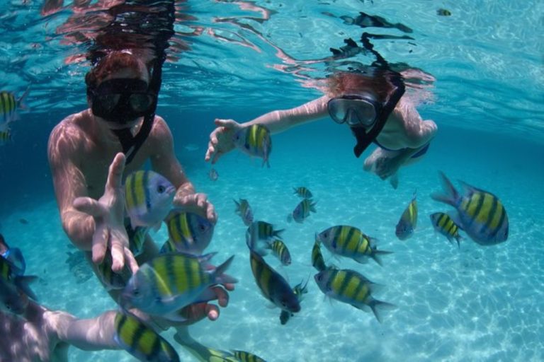 🏝️ Excursion à la Journée – Koh Tao & Koh Nang Yuan
