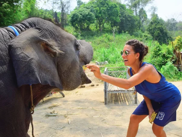 🐘 Elephant Retirement Park Phuket – Programme de soins (demi-journée