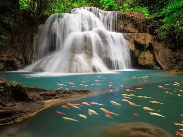 🌿 Cascade d’Erawan & Rivière Kwai – Excursion Nature depuis Bangkok