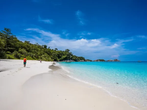 🐠 Visite des îles Similan – avec Fantastic Similan (Phuket) - Image 3