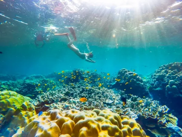 🛥️ Excursion Premium d'une journée – Îles Similan avec Wow Andaman - Image 2
