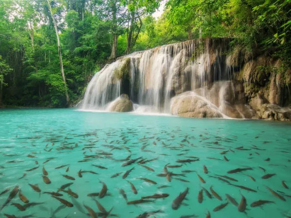 🌿 Cascade d’Erawan & Rivière Kwai – Excursion Nature depuis Bangkok - Image 4