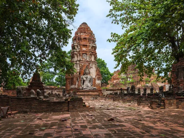 🚢 Ayutthaya en bus & retour en croisière Grand Pearl - Image 5