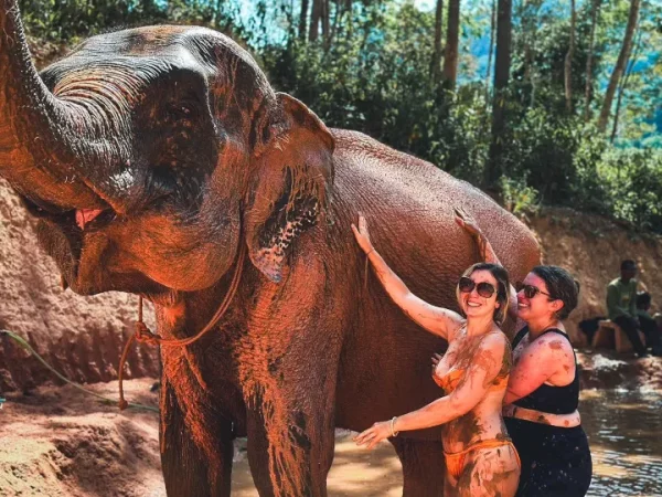🐘 Phuket Elephant Care – Un moment mémorable avec les éléphants - Image 4