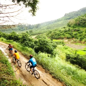 🚴 Excursion à vélo d’une journée complète : Incroyable campagne de Chiang Rai & Temple Blanc
