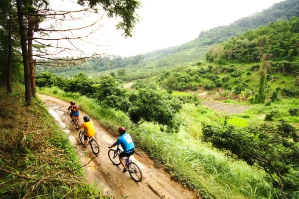 🚴 Excursion à vélo d’une journée complète : Incroyable campagne de Chiang Rai & Temple Blanc