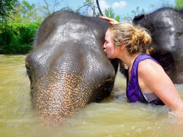 🐘 Elephant Retirement Park Phuket – Programme de soins (demi-journée – Image 4