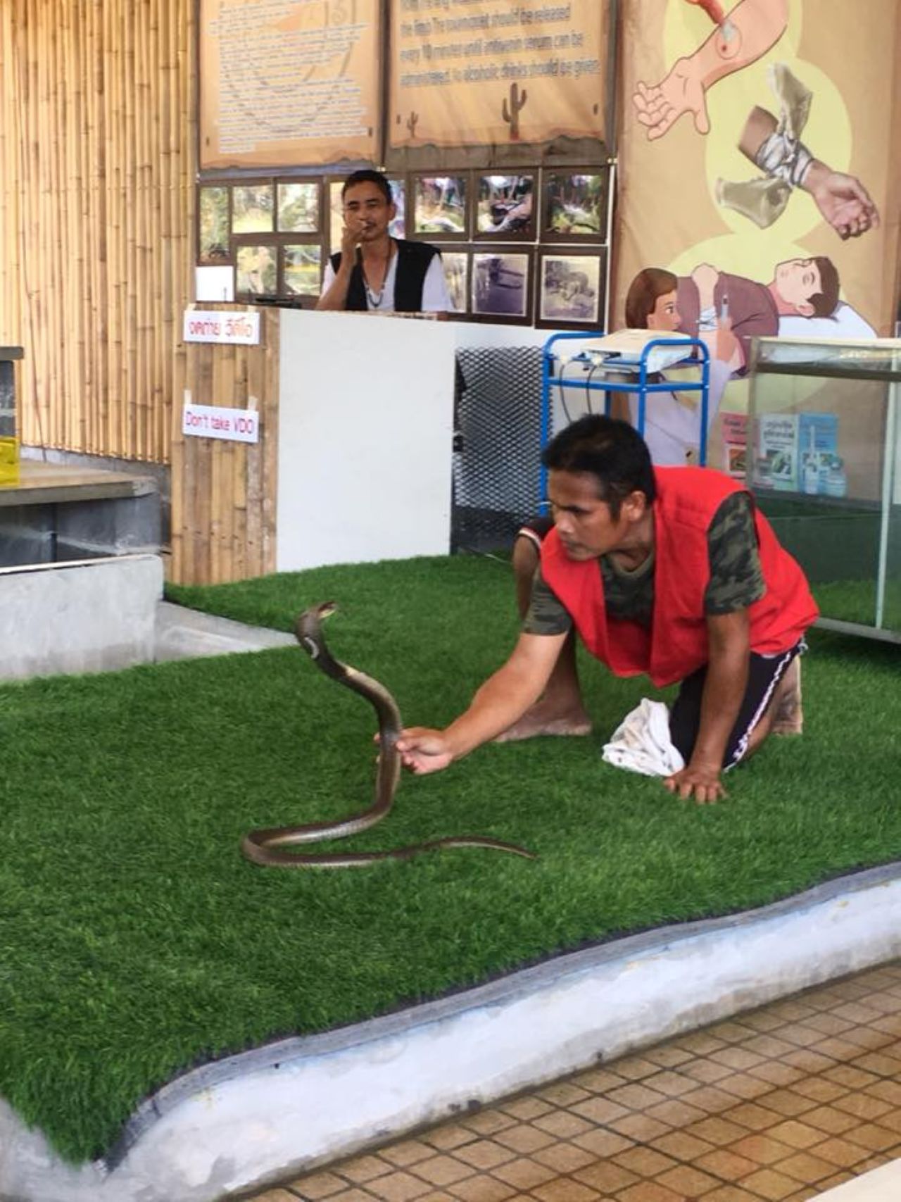 Spectacle de Cobras à Koh Samui - Image 5