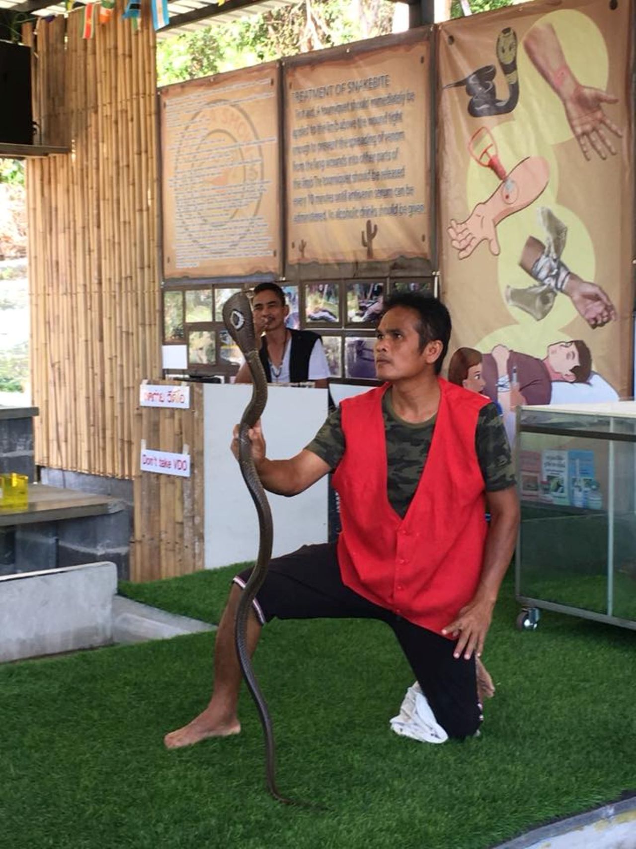 Spectacle de Cobras à Koh Samui - Image 2