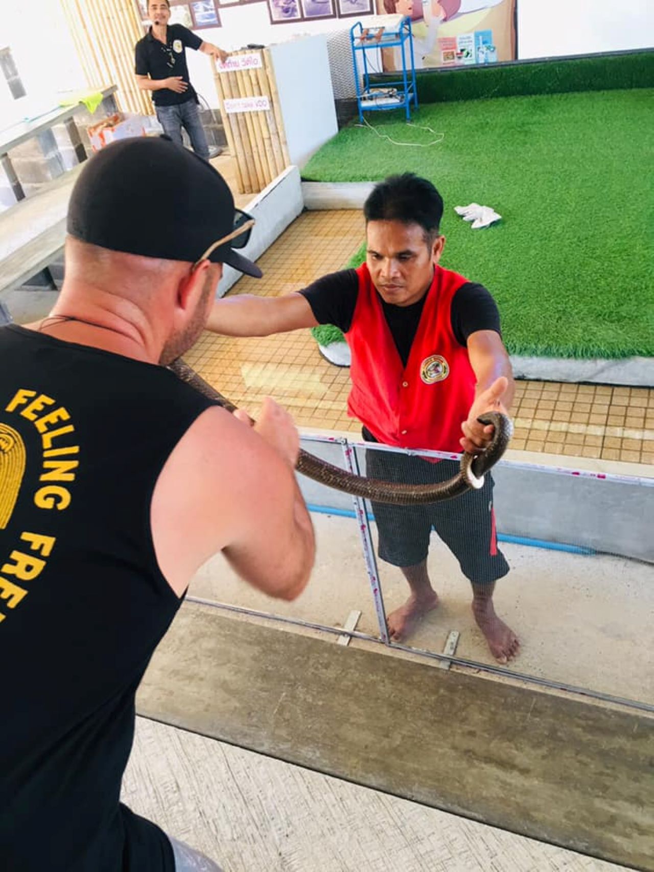 Spectacle de Cobras à Koh Samui - Image 4