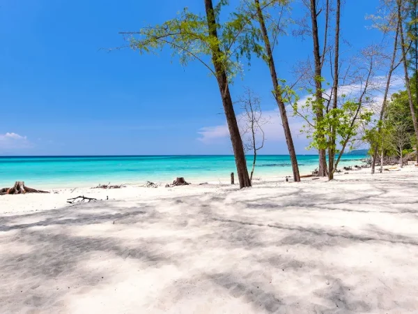 🏝️ Excursion en Speedboat à Phi Phi, Maya Bay & Bamboo Island – Image 4