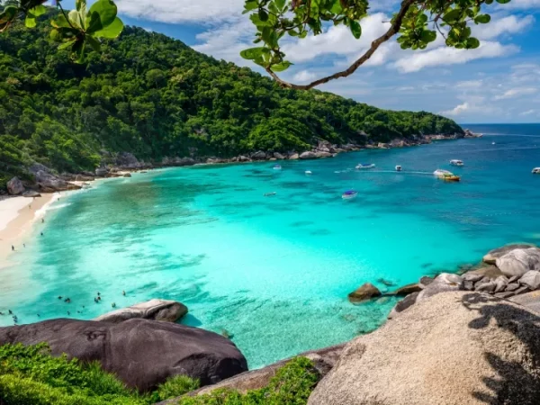 ⛵ Excursion 1 Jour en Catamaran à Moteur aux Îles Similan 4600 THB - Image 5