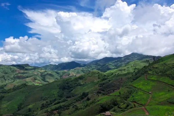 🌿 Doi Wawee & Doi Chang – Café, thé et villages ethniques – Image 3
