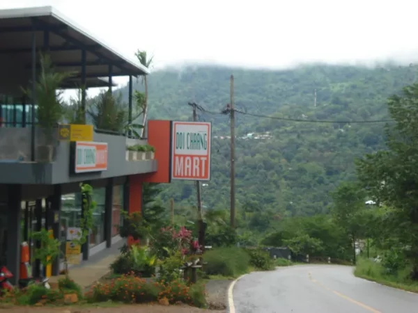 🌿 Doi Wawee & Doi Chang – Café, thé et villages ethniques – Image 2