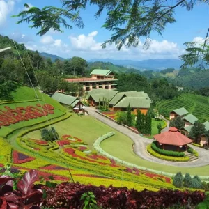 🥾Villa royale de Doi Tung et excursion dans le Triangle d’or (8h30 – 17h00)