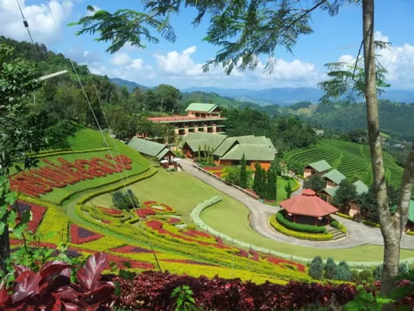 🥾Villa royale de Doi Tung et excursion dans le Triangle d’or (8h30 – 17h00)