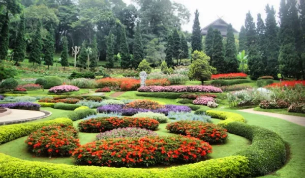 🥾Villa royale de Doi Tung et excursion dans le Triangle d’or (8h30 – 17h00) - Image 2