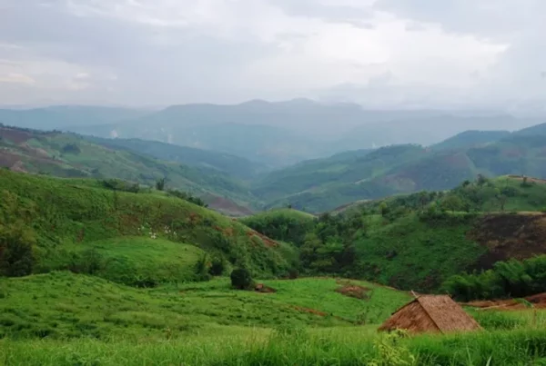 🌿 Doi Wawee & Doi Chang – Café, thé et villages ethniques – Image 4