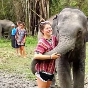 🐘 Elephant Jungle Sanctuary Phuket – Journée complète de marche avec les éléphants