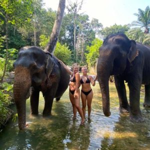 🐘 Jungle & ’Éléphant – Cascade + Éléphant