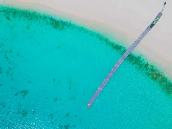 🛥️ Racha + Îles Coralliennes + Coucher de Soleil au Cap Promthep (catamaran yacht) – Image 4