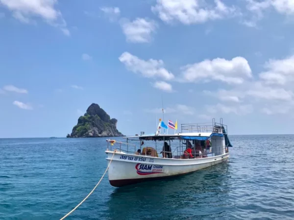 🌊 Itinéraires selon la date de votre visite – Image 5