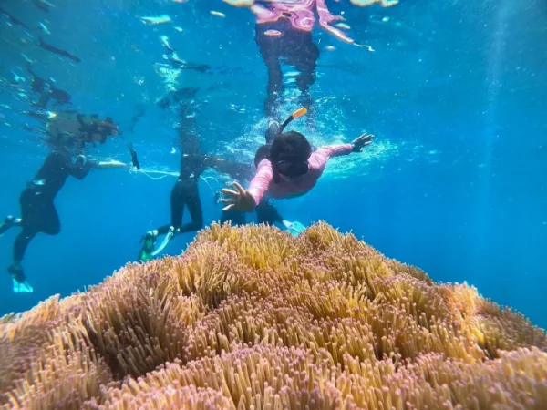 🌊 Itinéraires selon la date de votre visite – Image 4