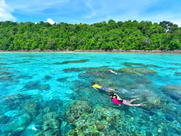 🏝️ Excursion Premium d’un Jour aux Îles Surin – Image 3