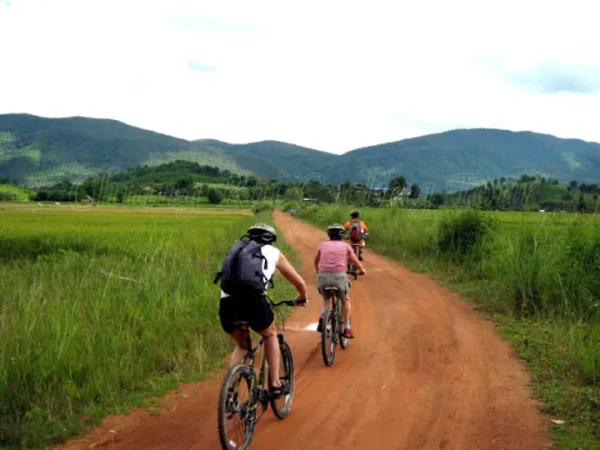 🚴‍♂️ Excursion à vélo au Temple Blanc – Demi-journée immersive – Image 2