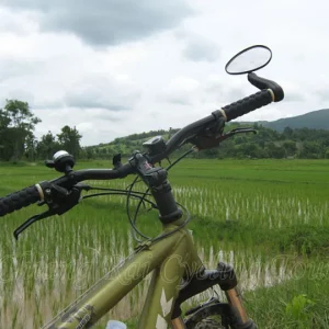 🚴‍♂️ Excursion à vélo au Temple Blanc – Demi-journée immersive