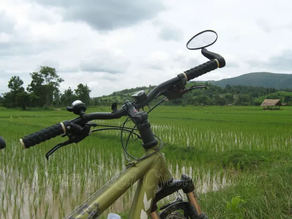 🚴‍♂️ Excursion à vélo au Temple Blanc – Demi-journée immersive