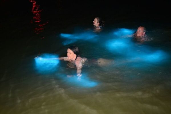 🌌 Glowing Plankton Night Trip – Ao Nang