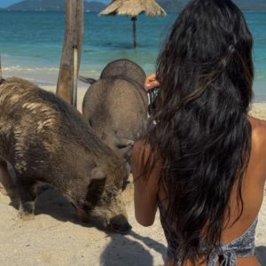 l'ile aux cochons proche de ko Samui