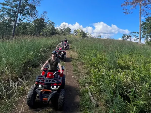 🏔️ Doi Inthanon Trekking + Aventure en VTT