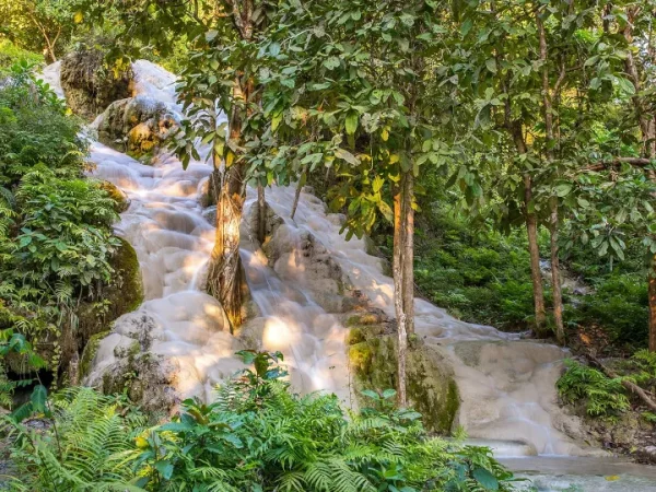 🐘 Cascade Collante + Sanctuaire d’Éléphants – Journée Éthique et Nature 💰 Prix : 1 790 THB / adulte – Image 4