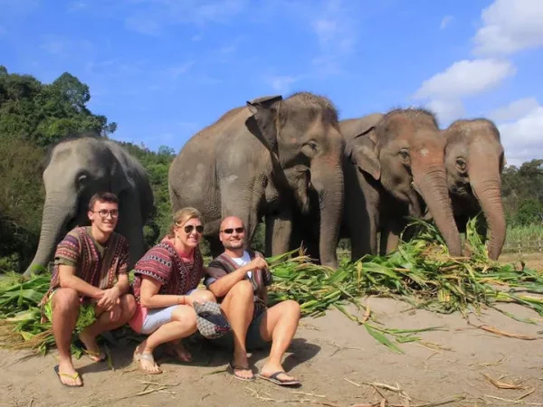 🐘 Sanctuaire des éléphants dans la jungle – Chiang Mai – Image 5
