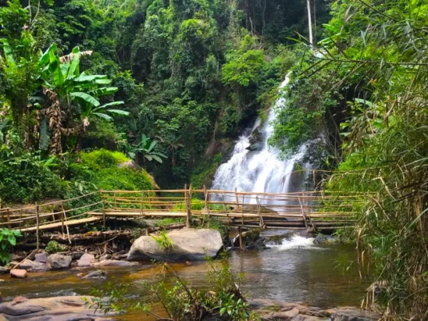 🐘🌿 Doi Inthanon, sanctuaire d’éléphants & sentier de trekking – Le meilleur circuit de Chiang Mai ! – Image 5