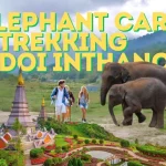 🐘🌿 Doi Inthanon, sanctuaire d’éléphants & sentier de trekking – Le meilleur circuit de Chiang Mai !