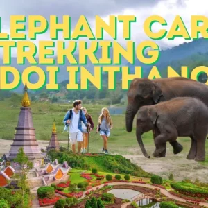 🐘🌿 Doi Inthanon, sanctuaire d’éléphants & sentier de trekking – Le meilleur circuit de Chiang Mai !