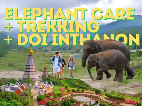 🐘🌿 Doi Inthanon, sanctuaire d’éléphants & sentier de trekking – Le meilleur circuit de Chiang Mai !