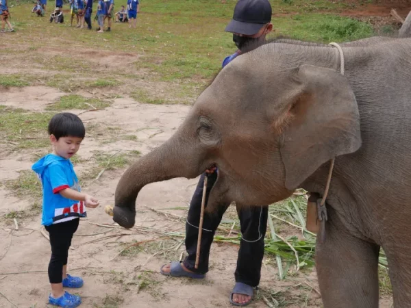 🐘🏍️ Mountain ATV & Elephant Sanctuary – Excursion d’une journée – Image 9
