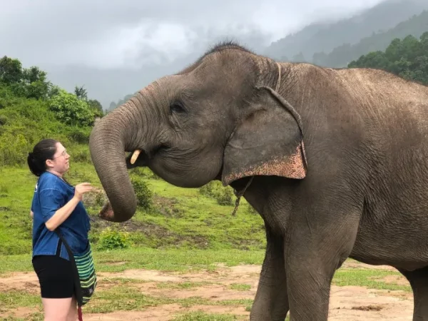 🐘🏍️ Mountain ATV & Elephant Sanctuary – Excursion d’une journée – Image 4