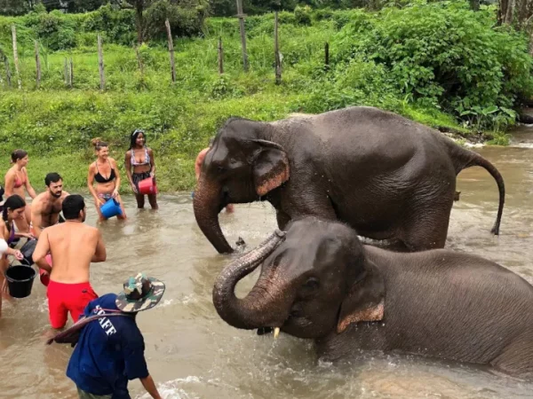 🐘🏍️ Mountain ATV & Elephant Sanctuary – Excursion d’une journée – Image 5