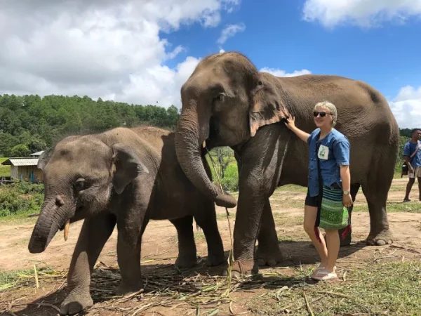 🐘🏍️ Mountain ATV & Elephant Sanctuary – Excursion d’une journée – Image 6