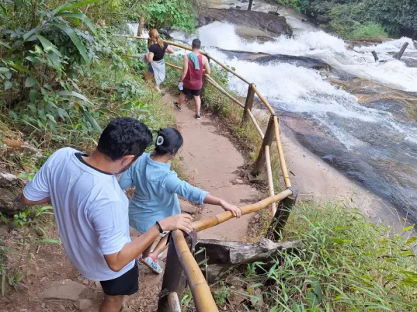 🐘🌿 Doi Inthanon, sanctuaire d’éléphants & sentier de trekking – Le meilleur circuit de Chiang Mai ! – Image 6