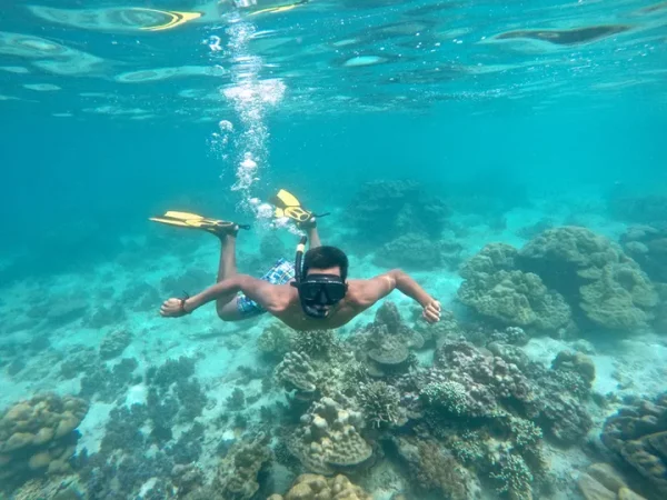 🐠 Snorkeling à Koh Lipe en  Speedboat  ( option 3 ) – Image 4