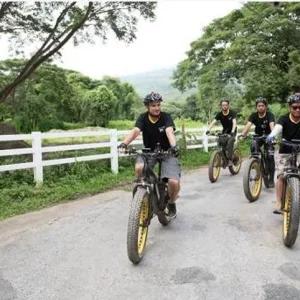 🚴‍♂️ Excursion en vélo électrique – Journée complète le long de la rivière Ping & Nam Phrae