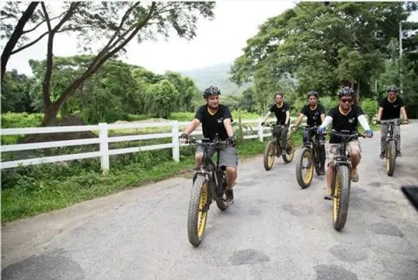 🚴‍♂️ Excursion en vélo électrique – Journée complète le long de la rivière Ping & Nam Phrae