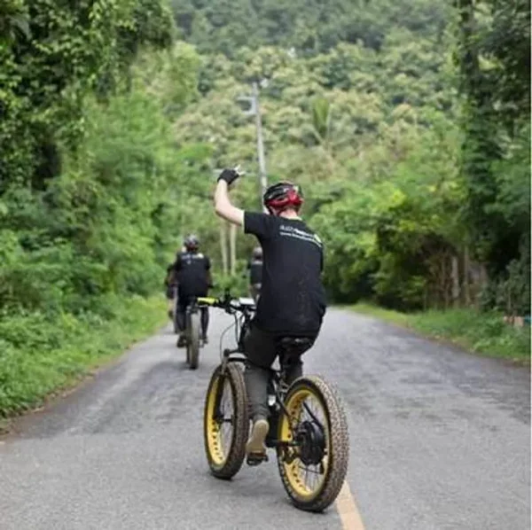 🚴‍♂️ Excursion en vélo électrique – Journée complète le long de la rivière Ping & Nam Phrae – Image 4