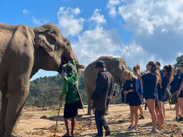 🐘🏍️ Mountain ATV & Elephant Sanctuary – Excursion d’une journée – Image 3